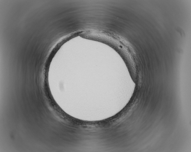 X0000112760580200910011217