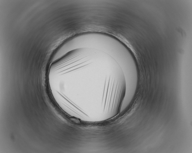 X0000112760581200910011217