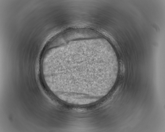X0000112760582200910011217