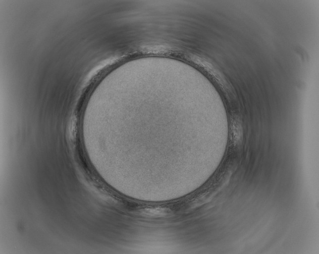 X0000112760583200910011217