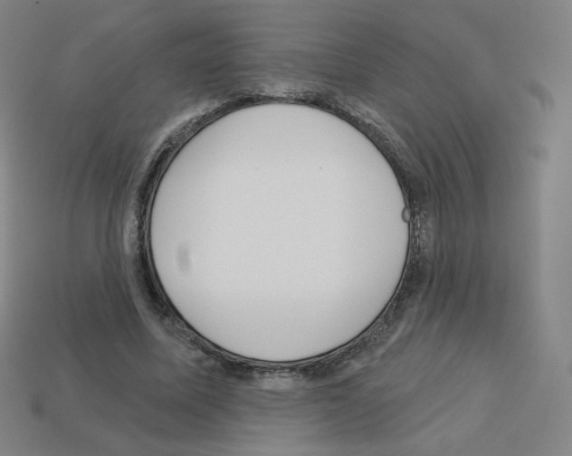 X0000112760587200910011217