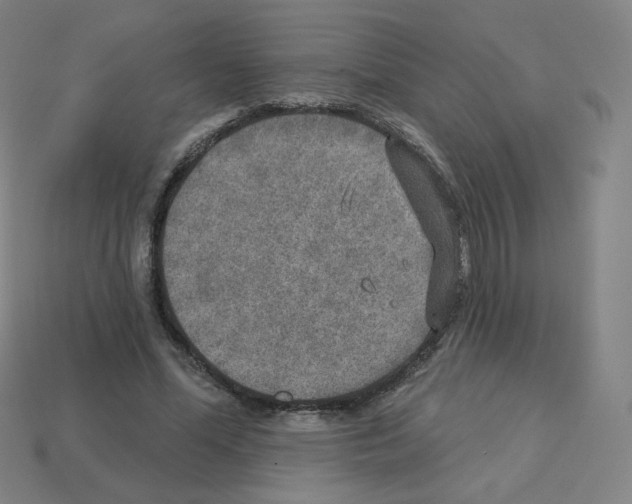 X0000112760588200910011217