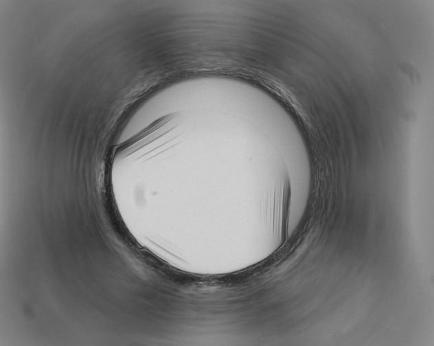 X0000112760589200910011217