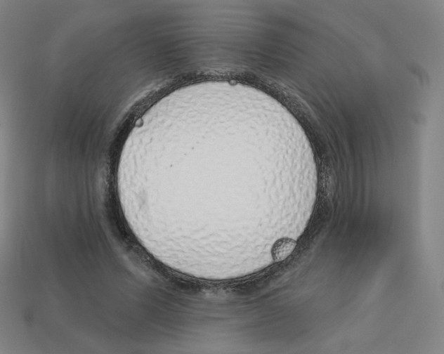 X0000112760591200910011217