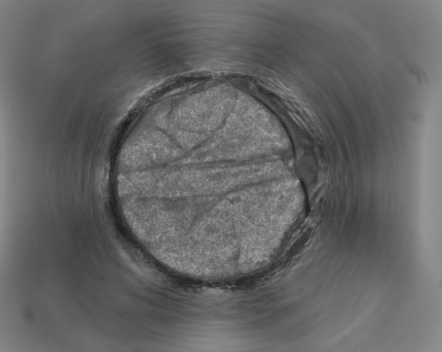 X0000112760592200910011217