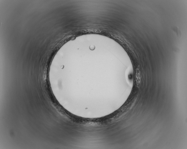 X0000112760593200910011217
