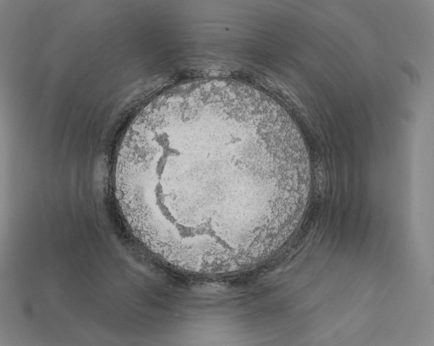 X0000112760594200910011217