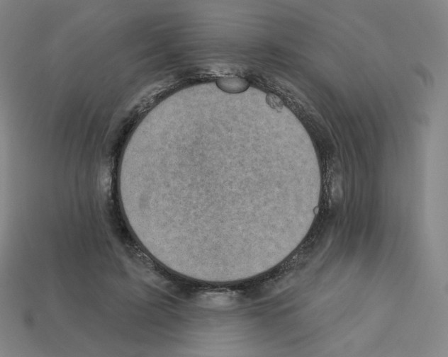 X0000112760595200910011217