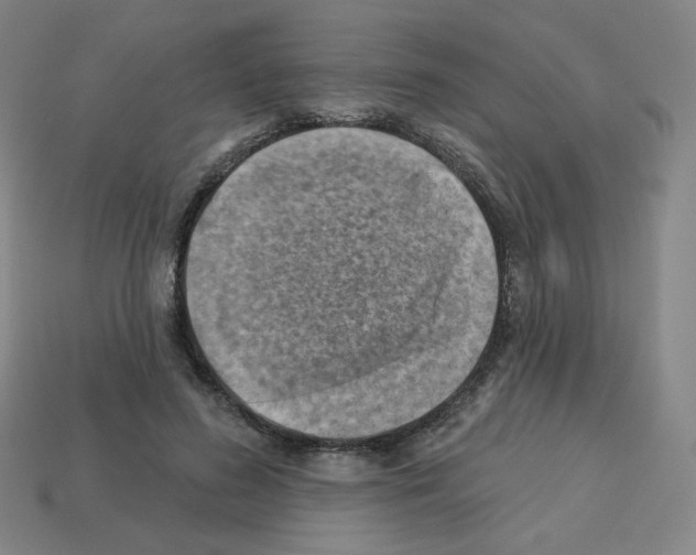 X0000112760596200910011217