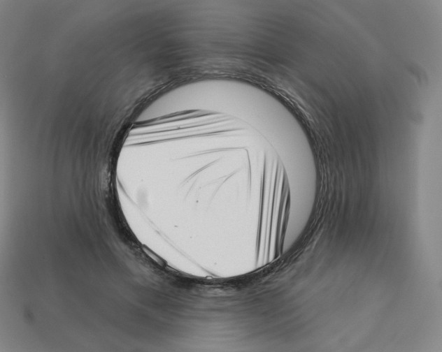 X0000112760597200910011217