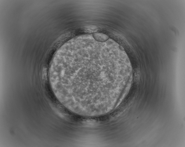 X0000112760598200910011217