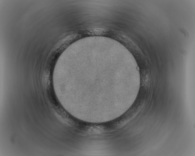 X0000112760599200910011217