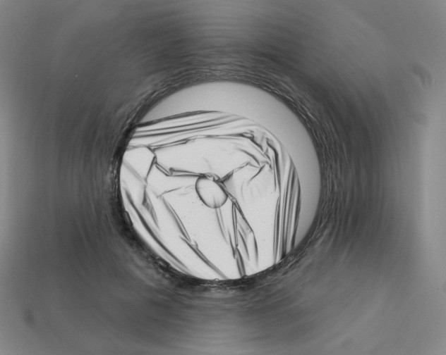 X0000112760601200910011217
