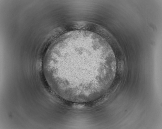 X0000112760602200910011217