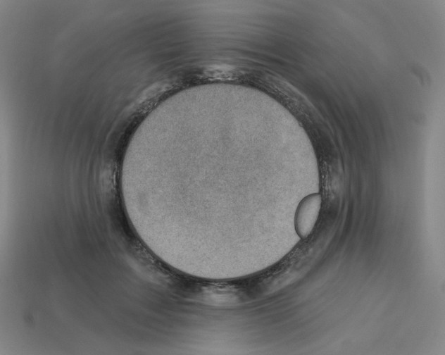 X0000112760603200910011217