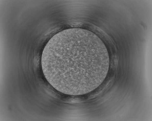 X0000112760604200910011217