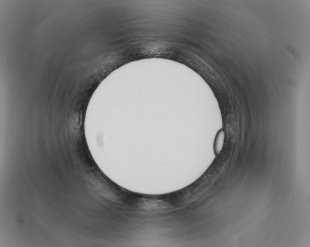 X0000112760605200910011217