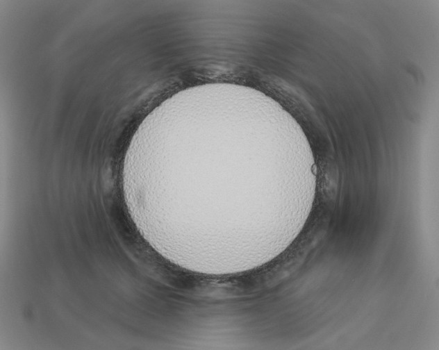 X0000112760607200910011217