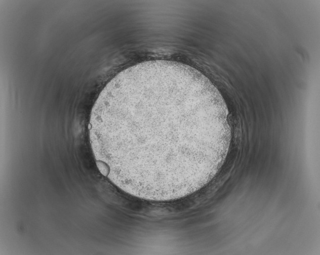 X0000112760608200910011217