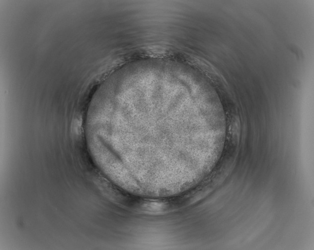 X0000112760610200910011217