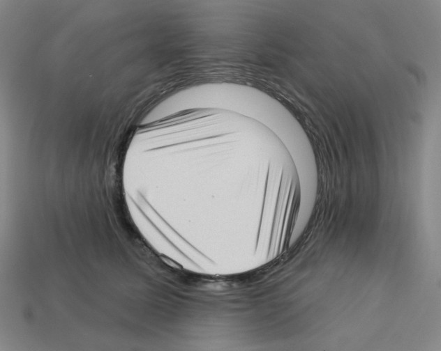 X0000112760611200910011217