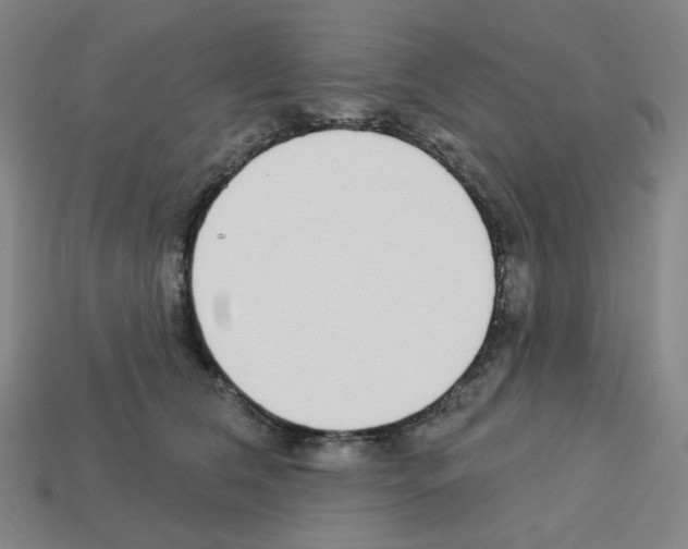 X0000112760612200910011217