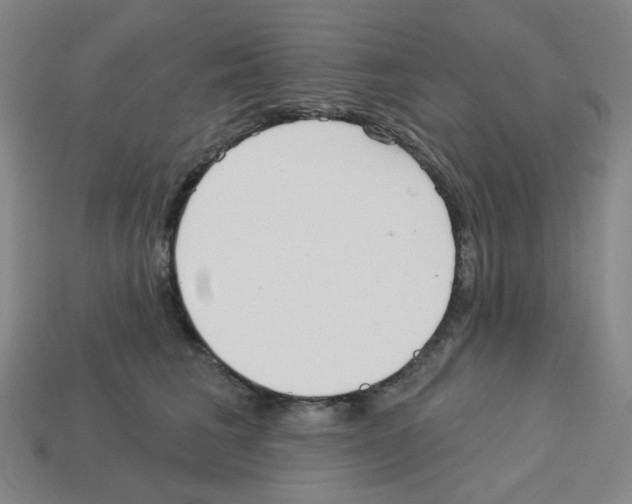 X0000112760613200910011217