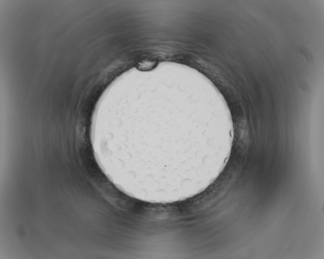 X0000112760615200910011217