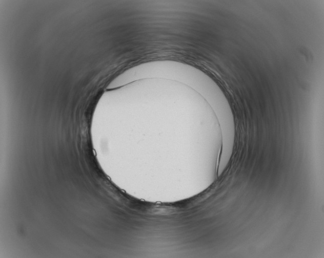 X0000112760617200910011217