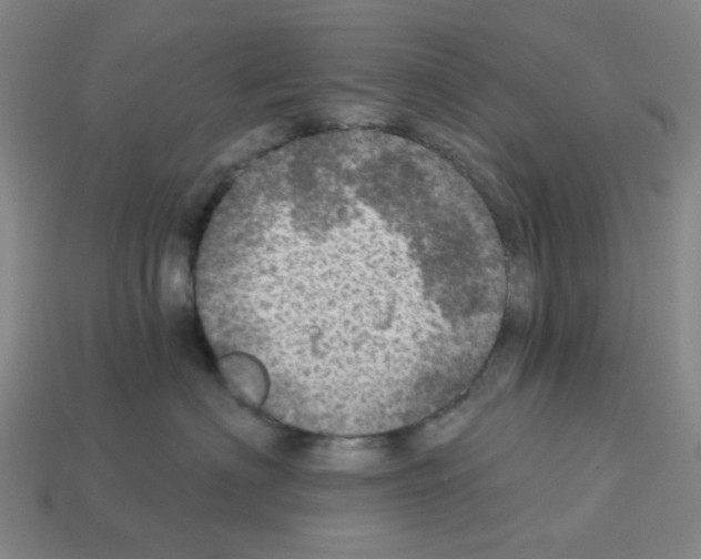 X0000112760622200910011217