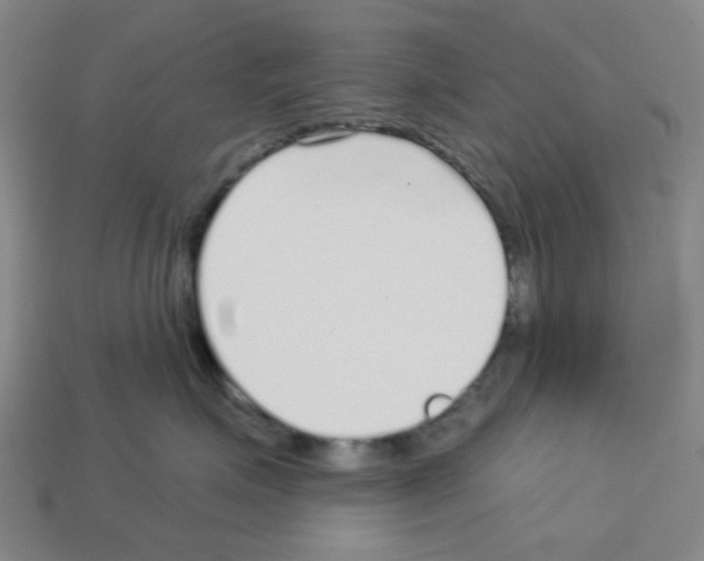 X0000112760623200910011217