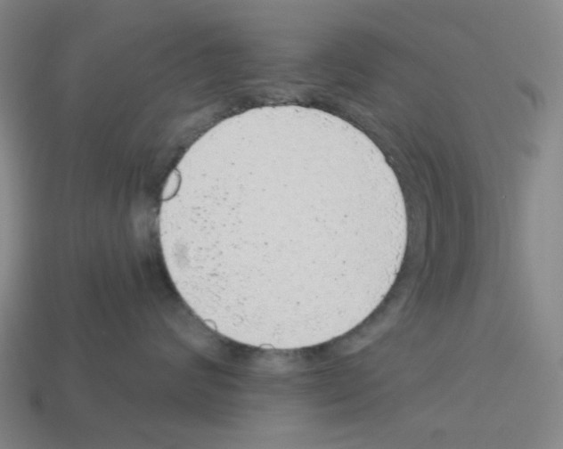 X0000112760624200910011217