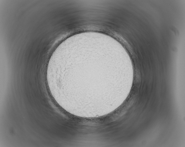 X0000112760625200910011216