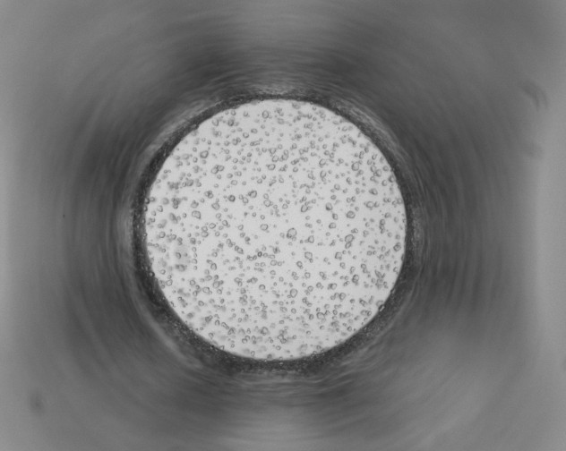 X0000112760626200910011216