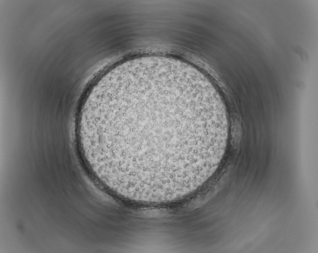 X0000112760629200910011216
