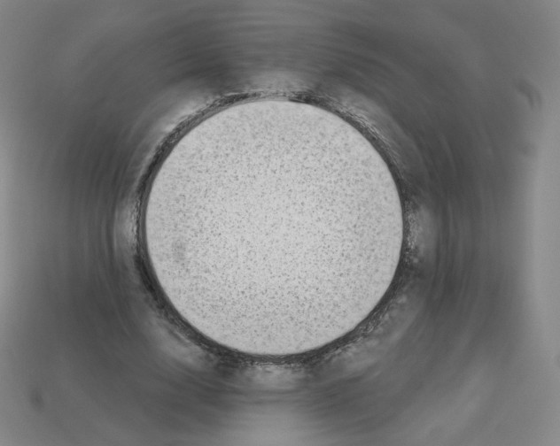 X0000112760632200910011216