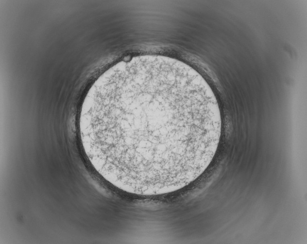 X0000112760633200910011216