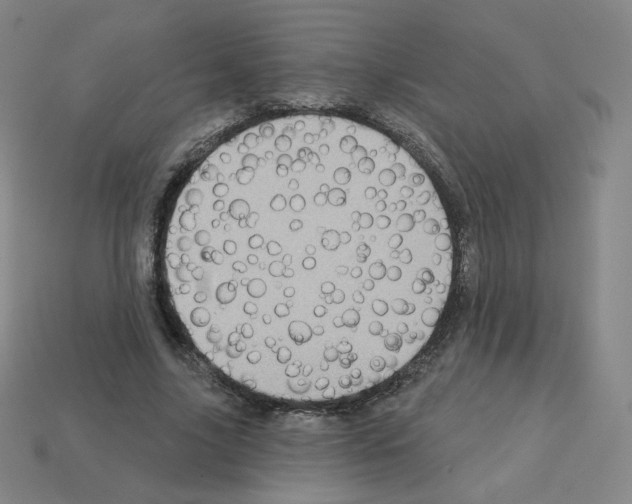 X0000112760635200910011216