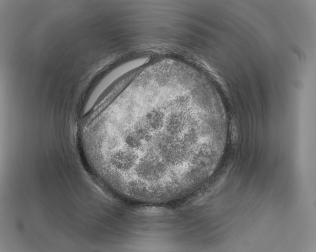 X0000112760637200910011216