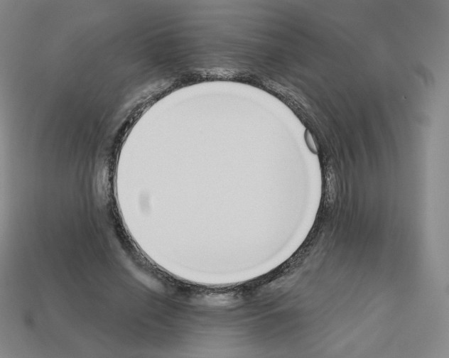 X0000112760638200910011216