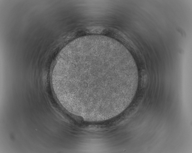 X0000112760641200910011216