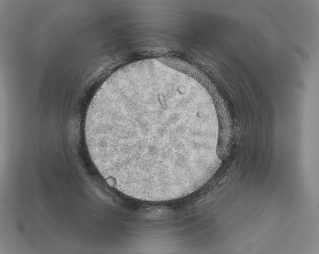 X0000112760642200910011216