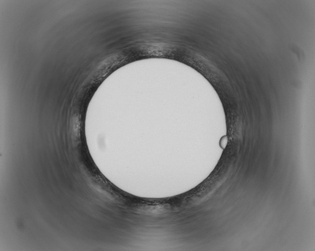 X0000112760646200910011216