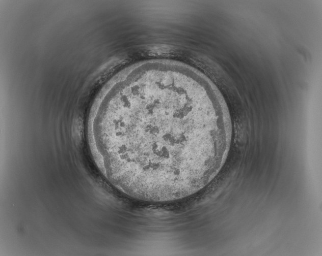 X0000112760648200910011216