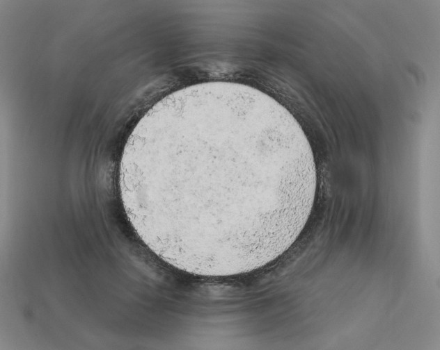 X0000112760650200910011216