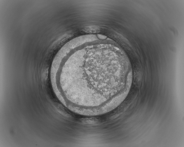 X0000112760652200910011216