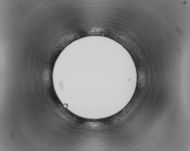 X0000112760654200910011216
