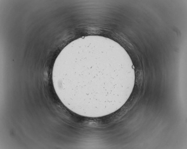 X0000112760655200910011216