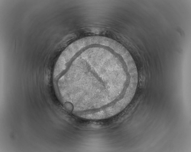 X0000112760656200910011216