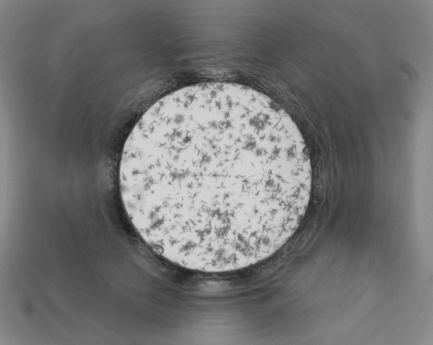 X0000112760658200910011216